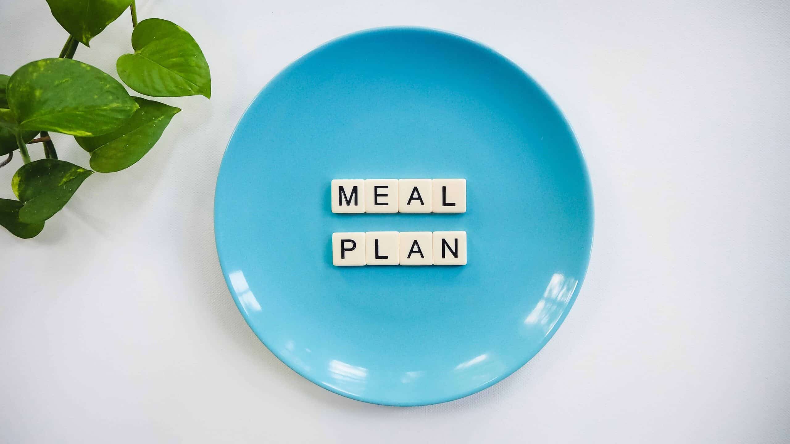 meal plan writing in a blue bowl