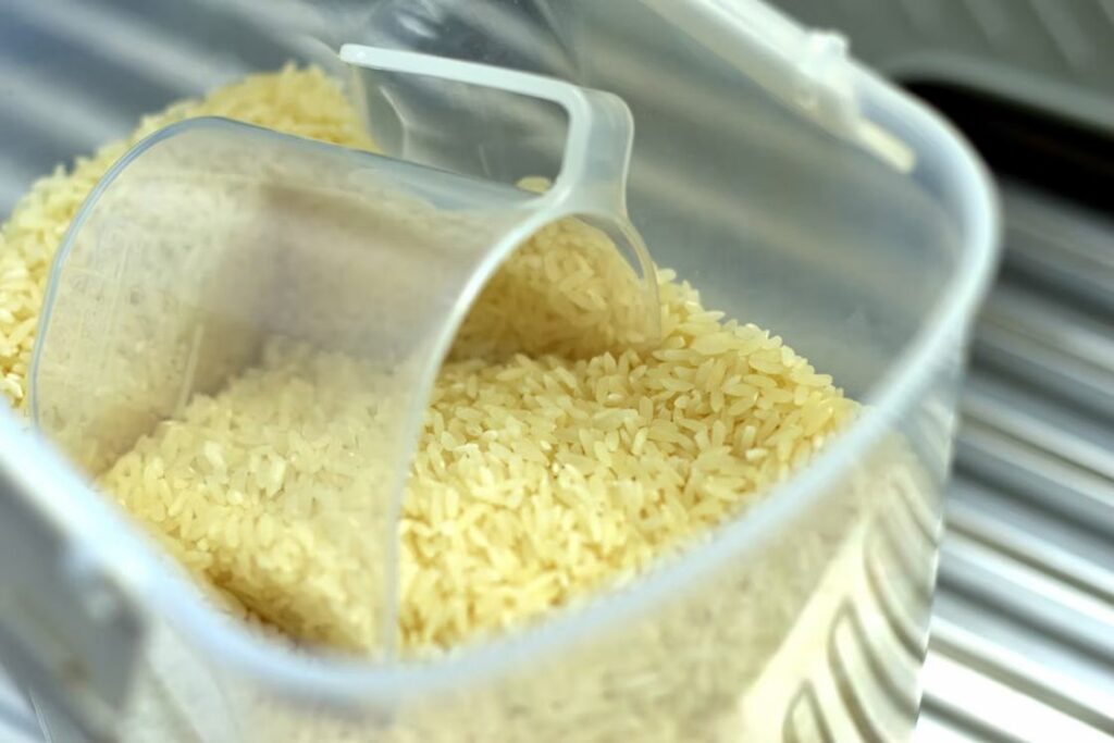 Rice grains in a clear container