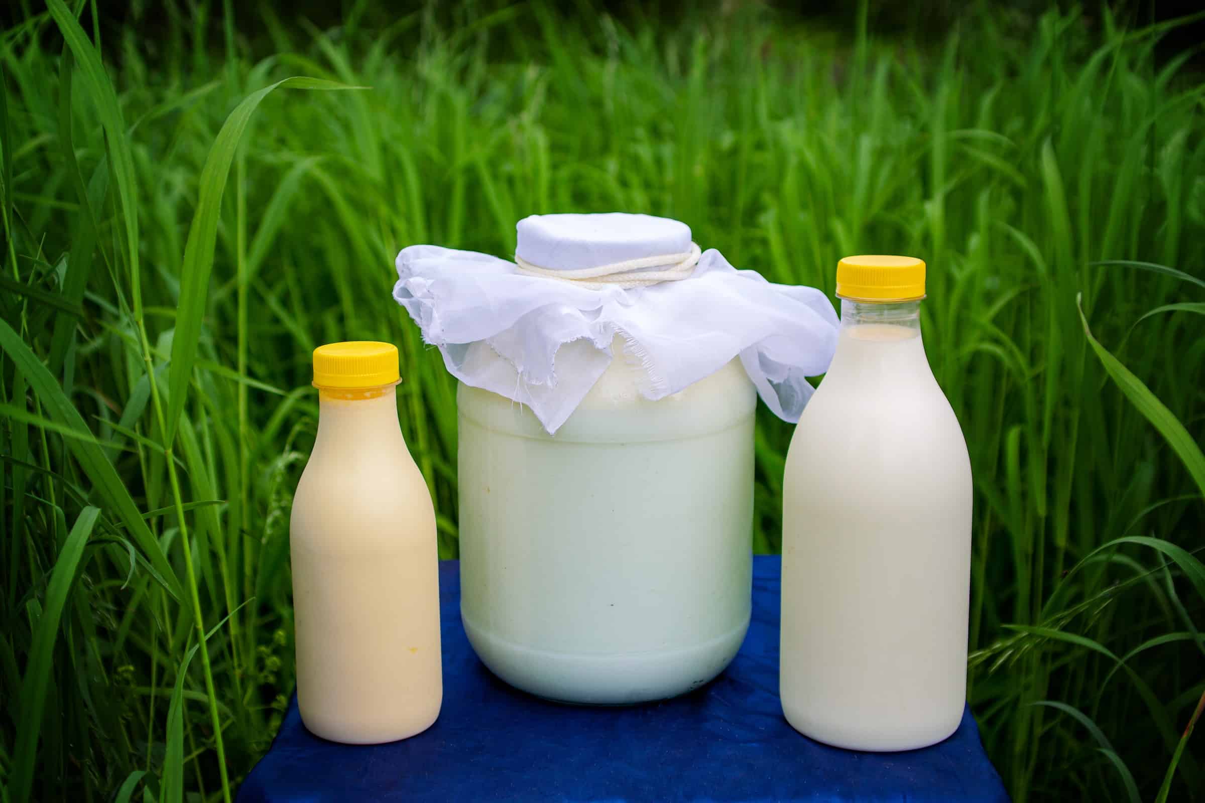Substitutes for Kefir