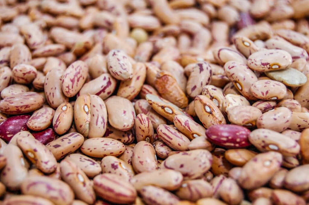 An image of pinto beans