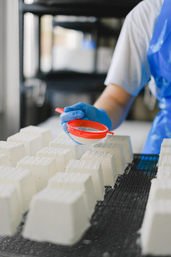 A production of ricotta cheese being processed and lined up
