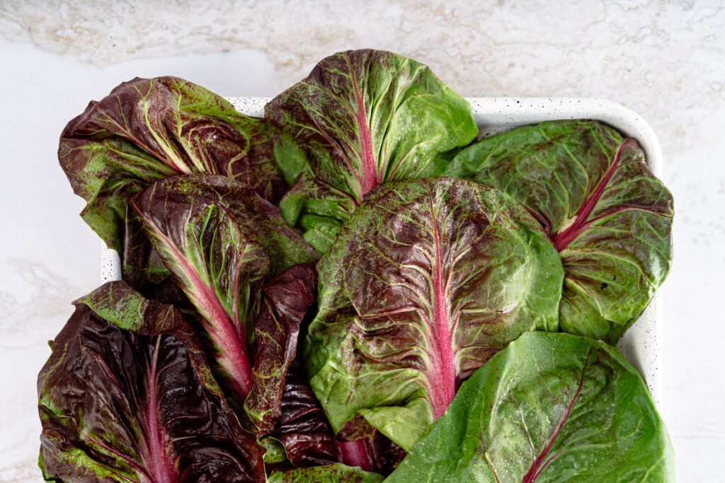 An image of a red leaf lettuce