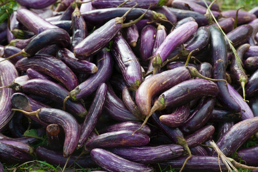 An image of eggplants