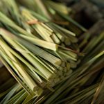 Dried Lemongrass
