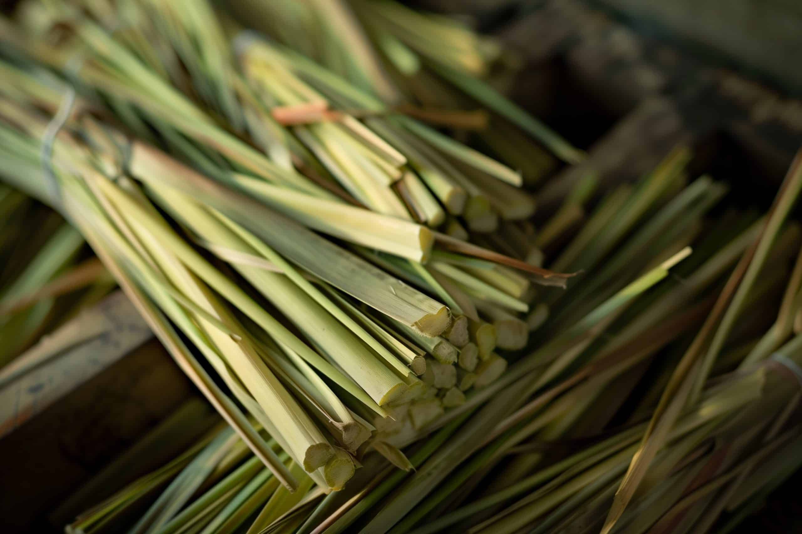 Dried Lemongrass