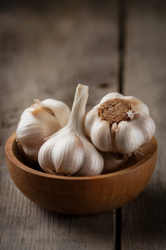 Garlic