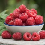 A bowl of fresh raspberries with a few berries spilling out