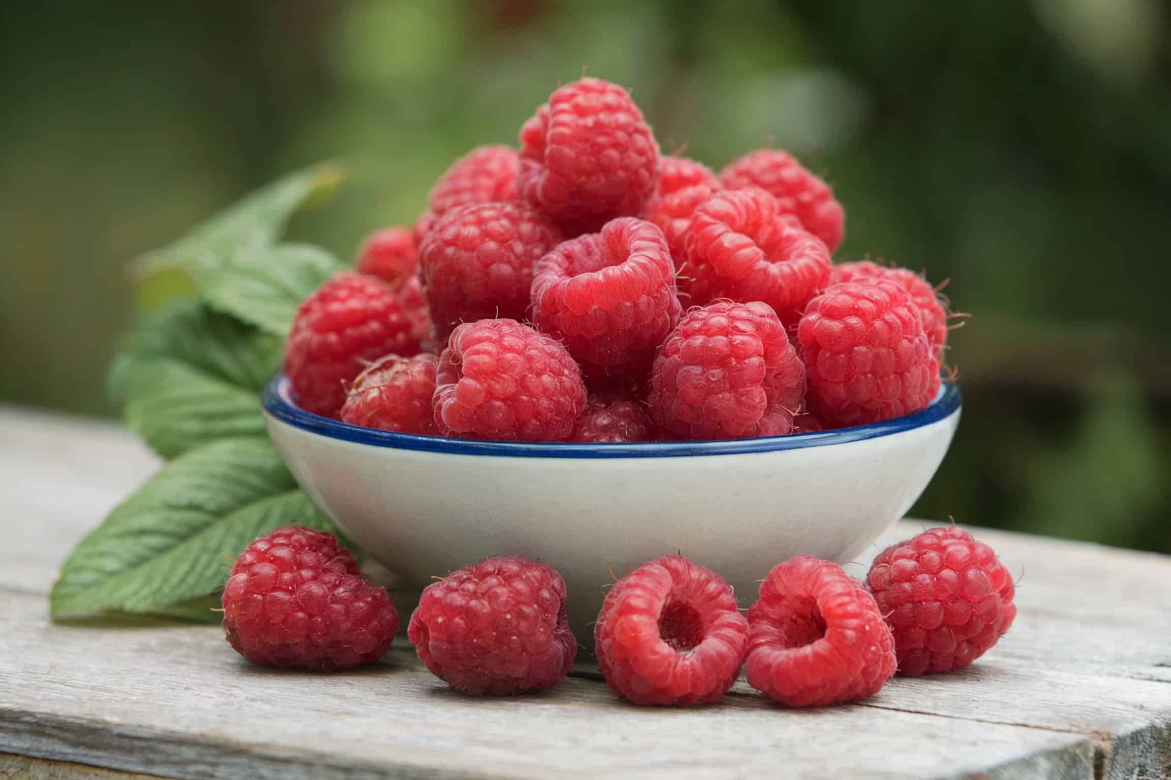 A bowl of fresh raspberries with a few berries spilling out