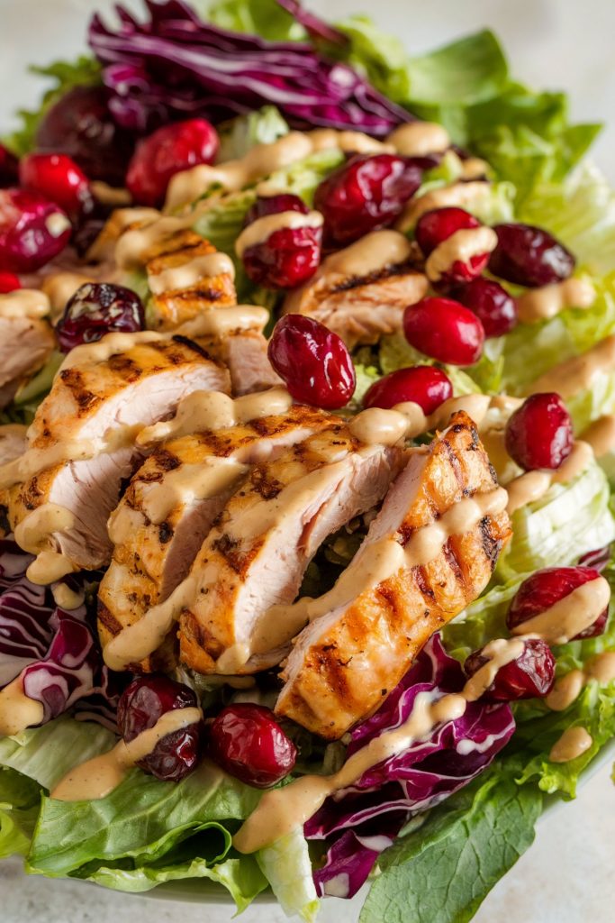 Grilled Chicken Salad with Cranberries and Cabbage
